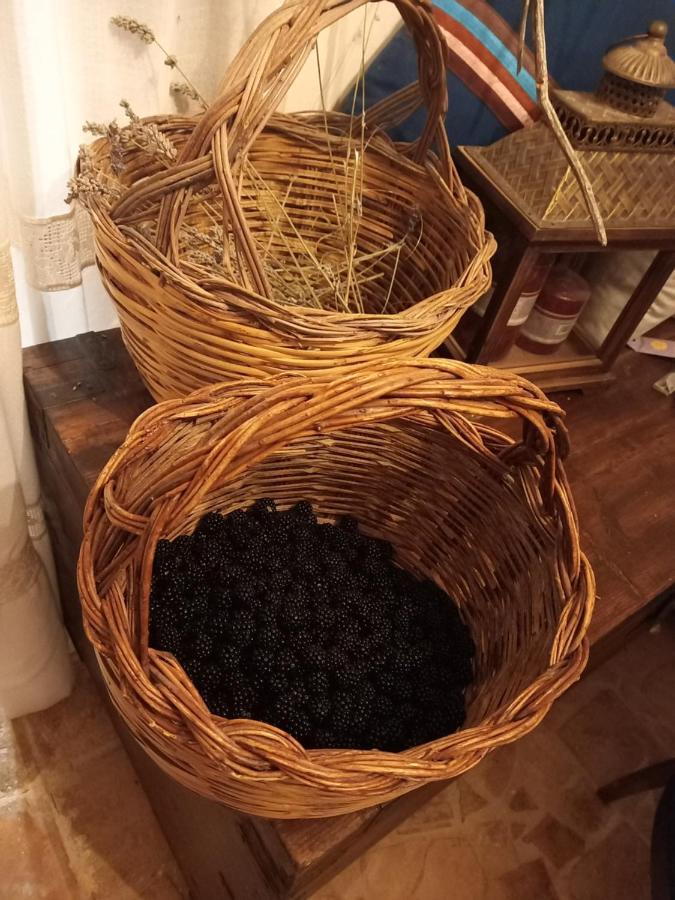 La Casa Dalle Finestre Blu Abbateggio 外观 照片